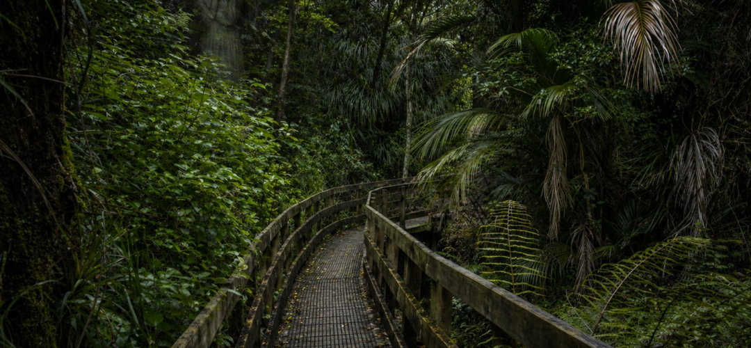 The Crying Woman in the Chatswood Reserve