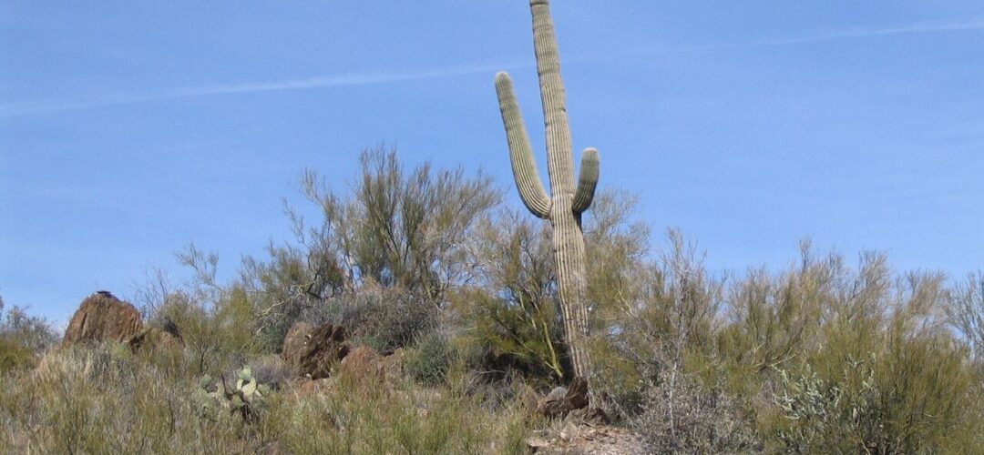 Jerome – Arizona USA