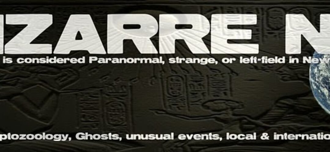 The history of us online – BIZARRENZ to ParanormalNZ