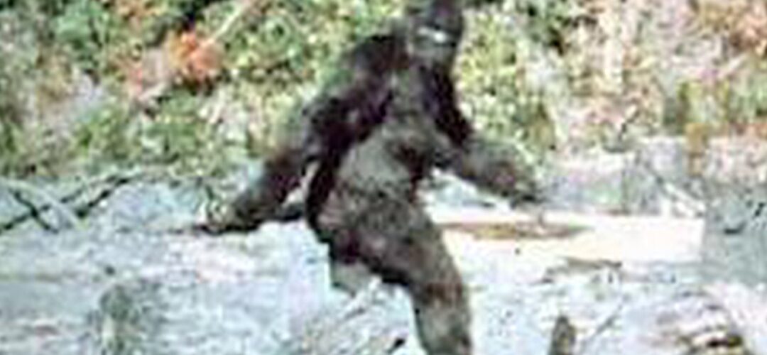Bigfoot