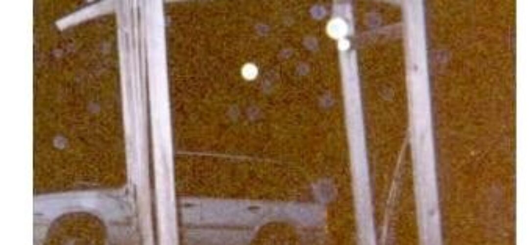 The Orb Phenomenon