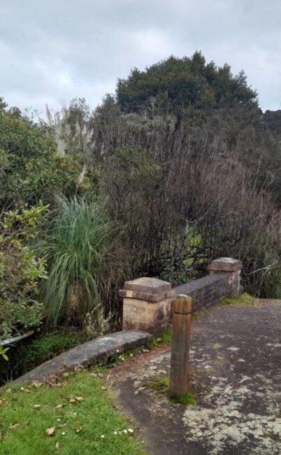 Little Muddy Creek Bridge – Huia