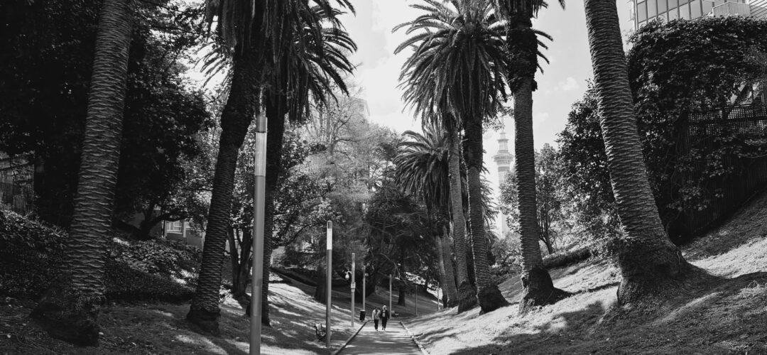 Myers Park – Central Auckland