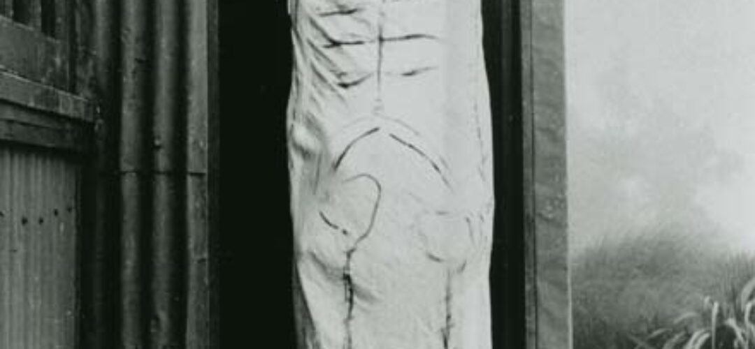 Cedric the Ghost, Powell Hut – Tararua Forest Park