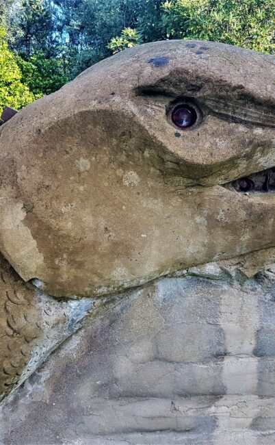 Taniwha Art