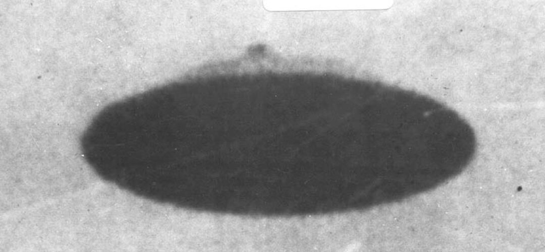 The Trent Farm Photos – Analysis