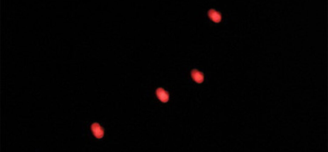 Strange light sparks UFO theories [www.stuff.co.nz]