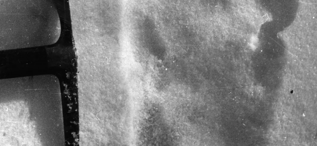 Yeti